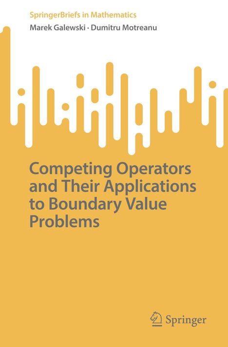 „SpringerBriefs in Mathematics“, Autoren: Marek Galewski, Dumitru Motreanu. Illustration mit weißen und gelben Balken. Springer-Logo.