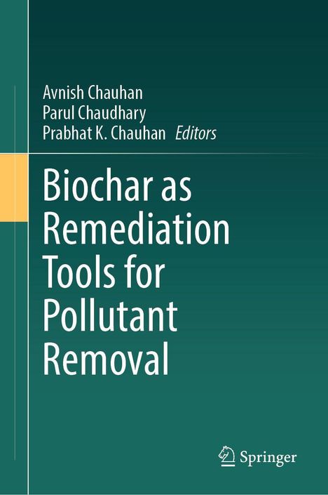 Text: "Avnish Chauhan, Parul Chaudhary, Prabhat K. Chauhan, Editors. Biochar as Remediation Tools for Pollutant Removal." Grüner Hintergrund mit Springer-Logo.