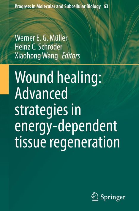 Titel: "Wound healing: Advanced strategies in energy-dependent tissue regeneration". Grüner Hintergrund mit Springer-Logo.