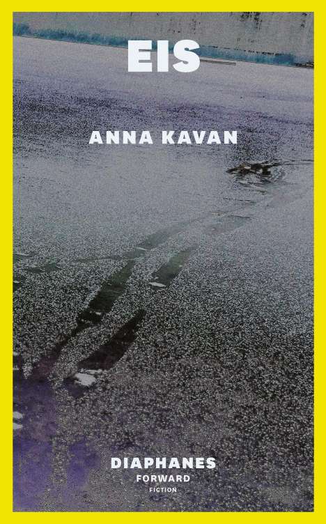 Anna Kavan: Eis, Buch