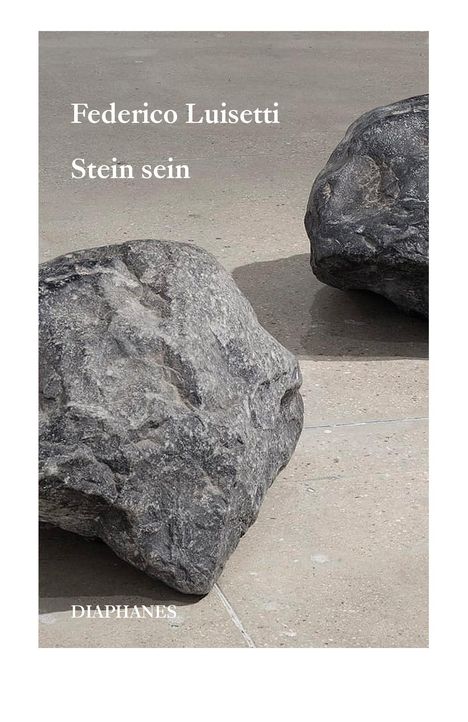 Federico Luisetti: Stein sein, Buch