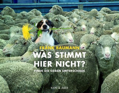 Frank Baumann: Was stimmt hier nicht?, Buch