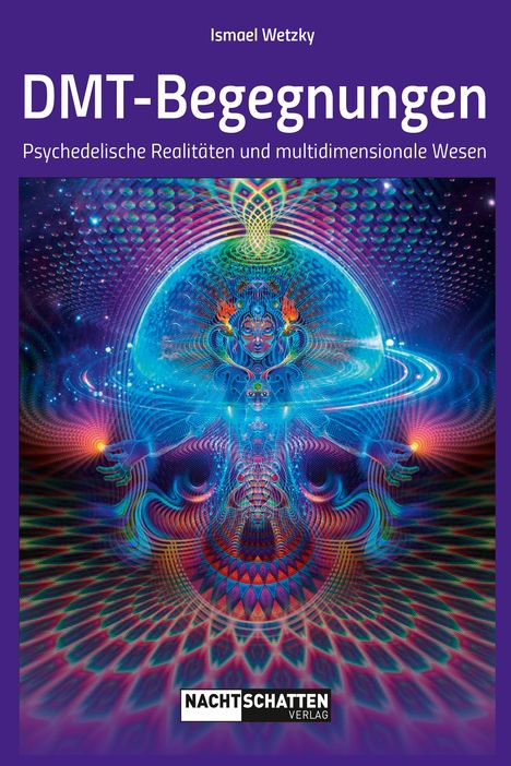 Ismael Wetzky: DMT-Begegnungen, Buch