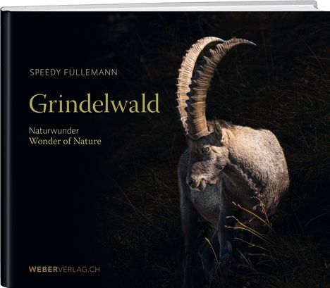 Speedy Füllemann: Grindelwald, Buch