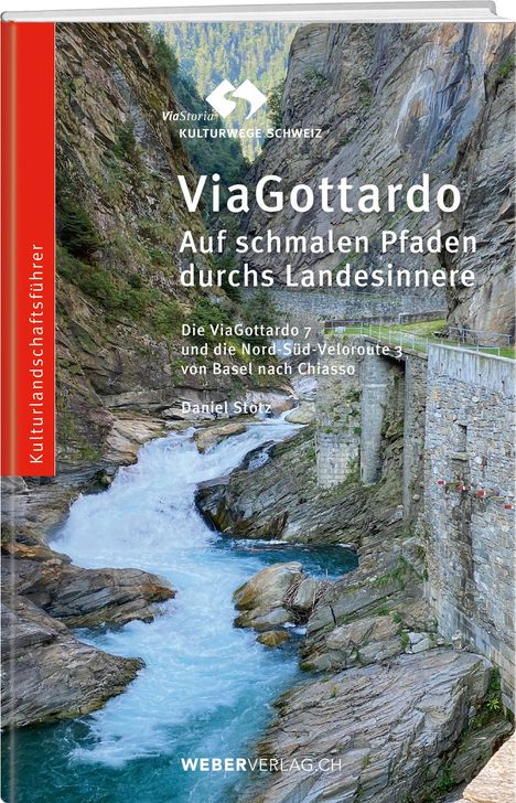 Daniel Stotz: ViaGottardo, Buch