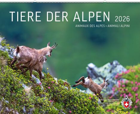 Adrian Schmid: Schmid, A: Tiere der Alpen 2026, Kalender