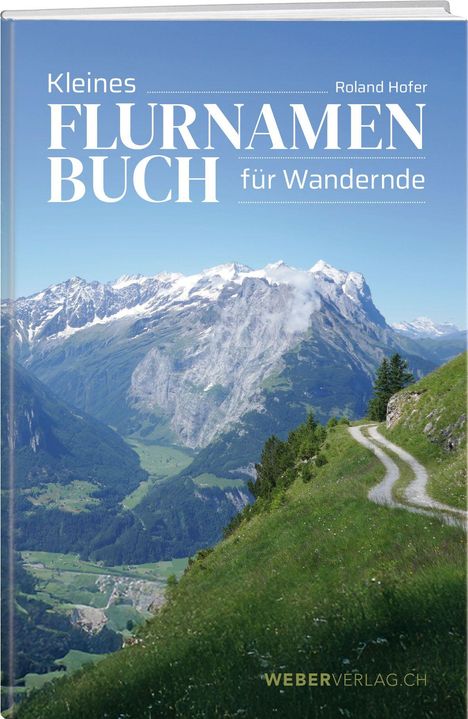 "Kleines Flurnamen Buch für Wandernde" von Roland Hofer. Ein alpines Panorama mit schneebedeckten Bergen und grünem Tal.