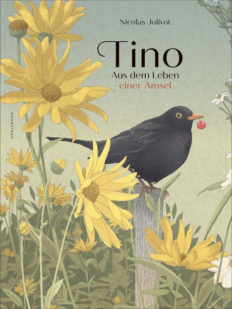 „Tino. Aus dem Leben einer Amsel.“ Eine Amsel sitzt auf einem Zaunpfahl, umgeben von gelben Blumen.