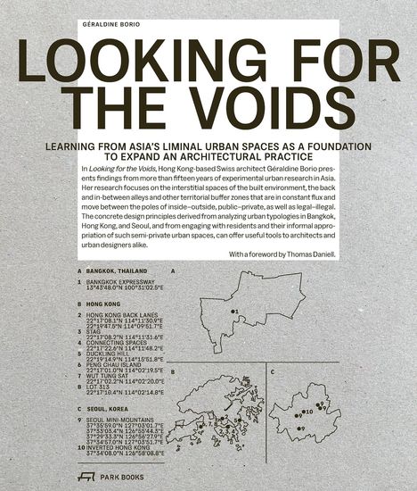 Géraldine Borio: Looking for the Voids, Buch