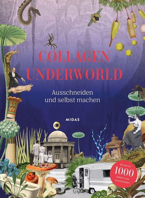 Eliza Scott: Collagen Underworld, Buch