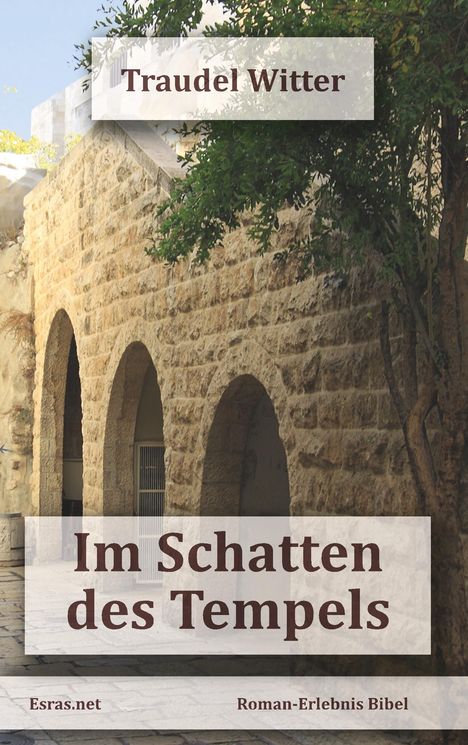 Traudel Witter: Im Schatten des Tempels, Buch