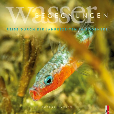 Robert Hansen: Wasser Begegnungen, Buch