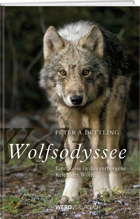 Peter A. Dettling: Wolfsodyssee, Buch
