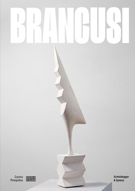 Brancusi, Buch