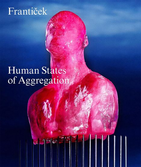 Frantisek-Human States of Aggregation, Buch