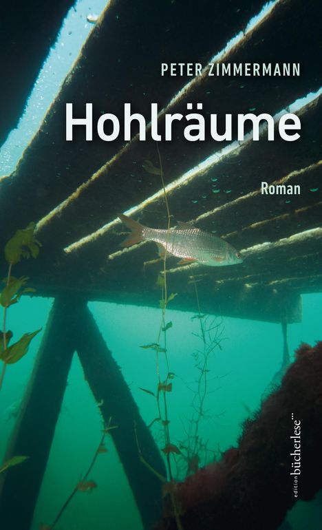 Peter Zimmermann: Hohlräume, Buch