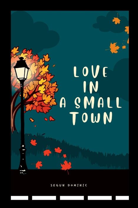 Segun Dominic: Love in a Small Town, Buch