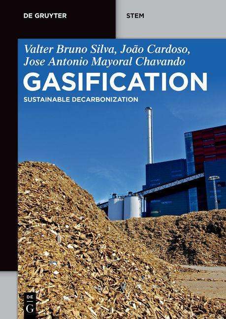 Valter Bruno Silva: Silva, V: Gasification, Buch