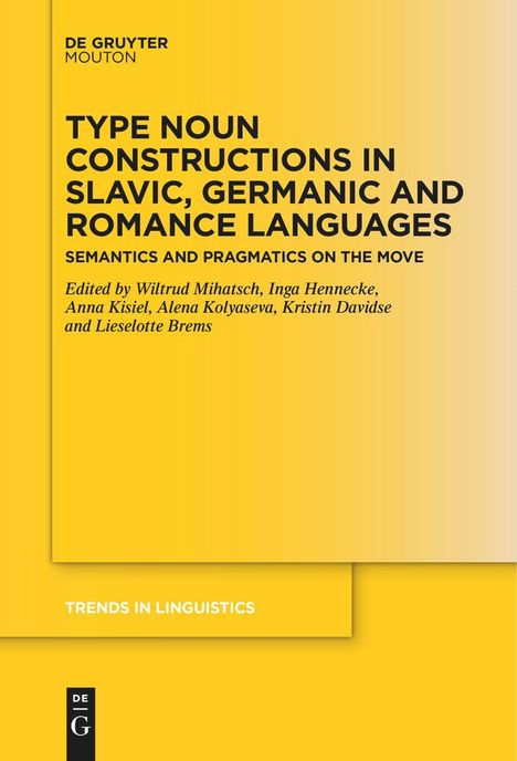 Type Noun Constructions in Slavic, Germanic and Romance Languages, Buch