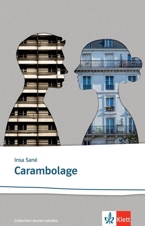 Insa Sané: Carambolage, Buch