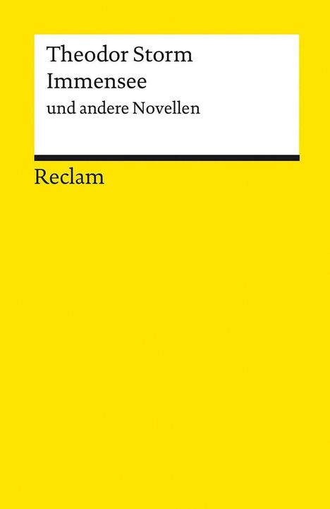 Theodor Storm: Immensee und andere Novellen, Buch