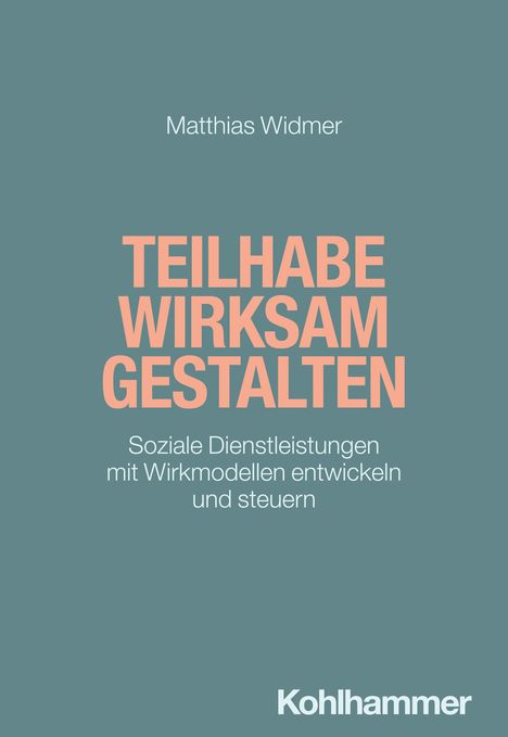 Matthias Widmer: Teilhabe wirksam gestalten, Buch