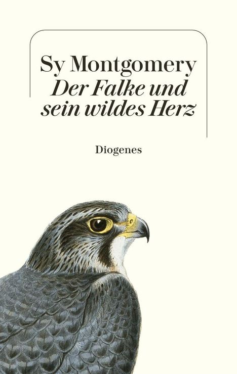 "Sy Montgomery. Der Falke und sein wildes Herz. Diogenes." Illustration eines stolzen Falken.