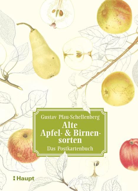 Gustav Pfau-Schellenberg: Alte Apfel- &amp; Birnensorten - Das Postkartenbuch, Buch