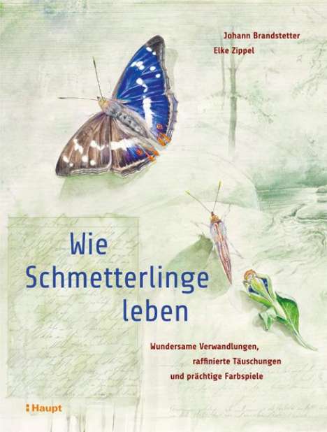 Johann Brandstetter: Wie Schmetterlinge leben, Buch
