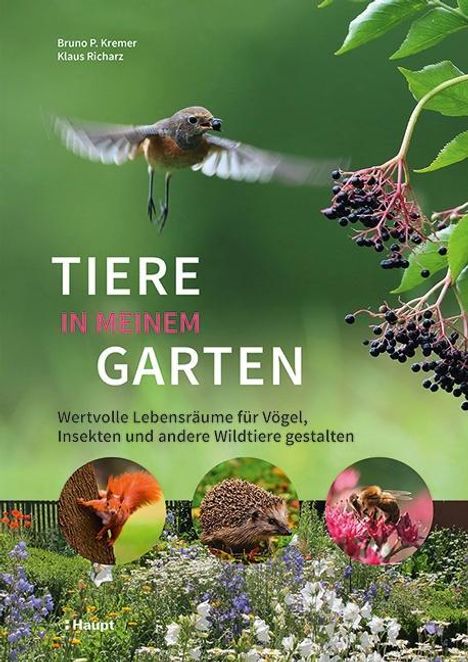 Bruno P. Kremer: Kremer, B: Tiere in meinem Garten, Buch