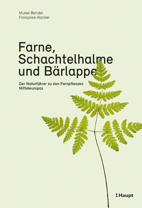 Muriel Bendel: Farne, Schachtelhalme und Bärlappe, Buch