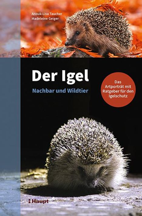 Anouk-Lisa Taucher: Der Igel - Nachbar und Wildtier, Buch