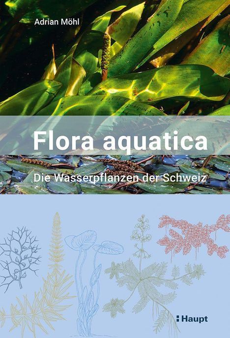 Text: "Adrian Möhl" oben, "Flora aquatica" groß, "Die Wasserpflanzen der Schweiz" darunter. Illustration von Wasserpflanzen.