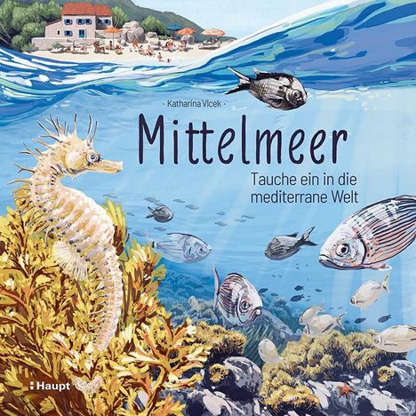 Katharina Vlcek: Mittelmeer, Buch