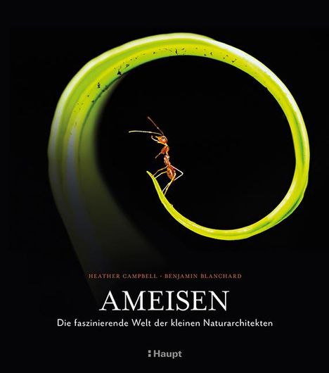 Heather Campbell: Ameisen, Buch
