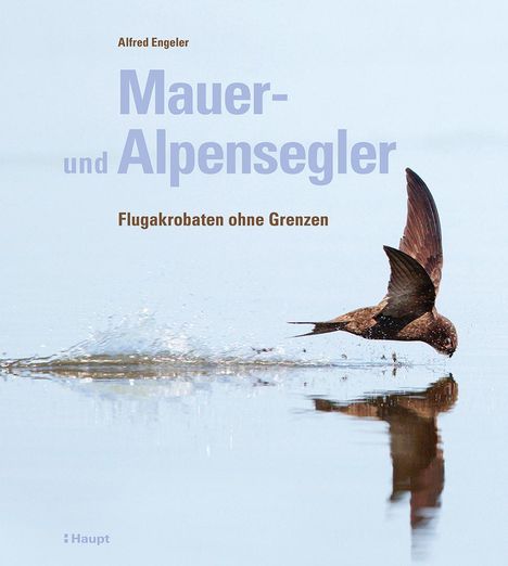 Alfred Engeler: Mauer- und Alpensegler, Buch