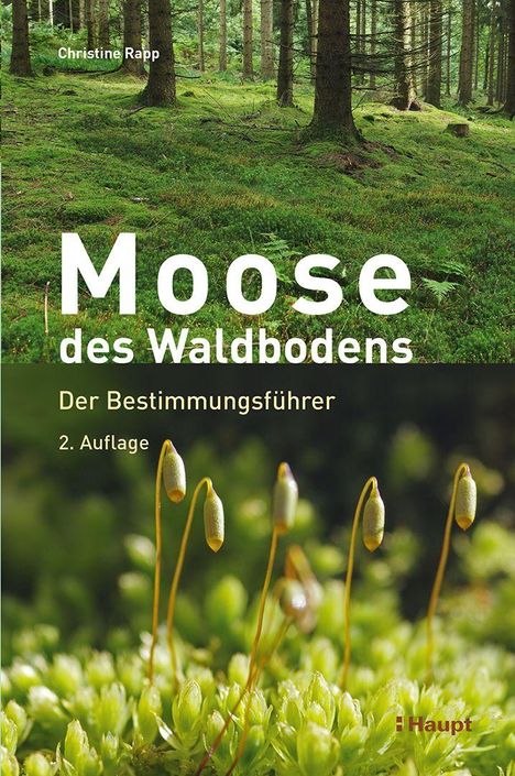 Christine Rapp: Moose des Waldbodens, Buch