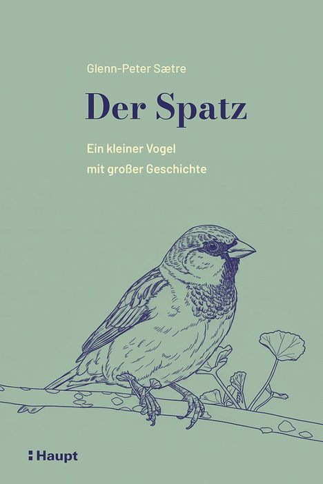 Glenn-Peter Sætre, Der Spatz. Ein kleiner Vogel mit großer Geschichte. Illustration eines Vogels auf einem Ast. Haupt.