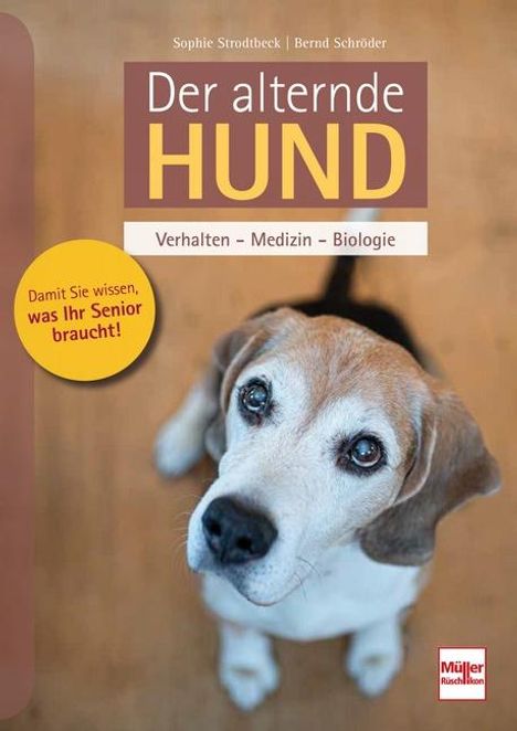 Sophie Strodtbeck: Der alternde Hund, Buch