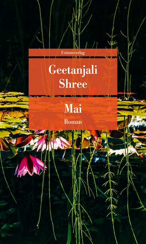 Geetanjali Shree: Mai, Buch