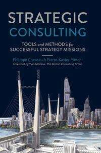 Pierre-Xavier Meschi: Meschi, P: Strategic Consulting for Companies, Buch