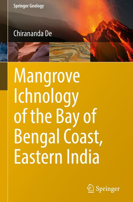 Chirananda De: Mangrove Ichnology of the Bay of Bengal Coast, Eastern India, Buch