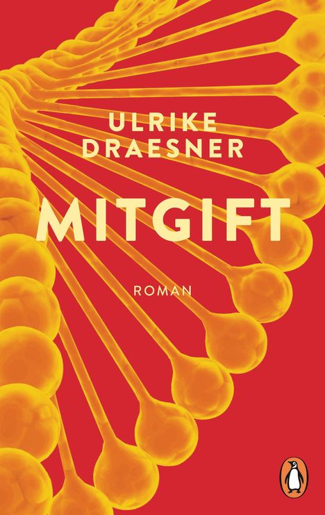 Ulrike Draesner: Mitgift, Buch