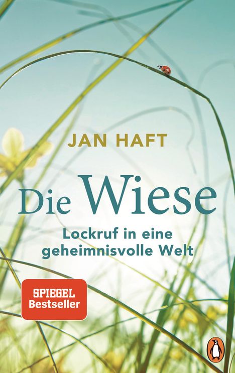 Jan Haft: Die Wiese, Buch