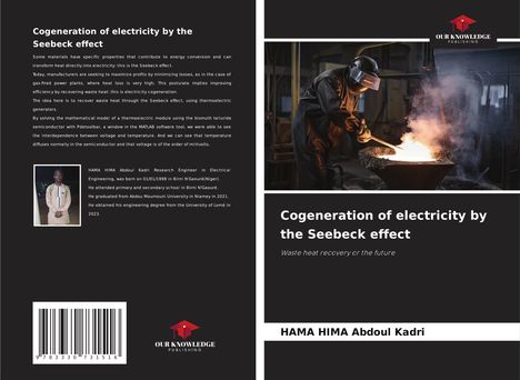Hama Hima Abdoul Kadri: Cogeneration of electricity by the Seebeck effect, Buch