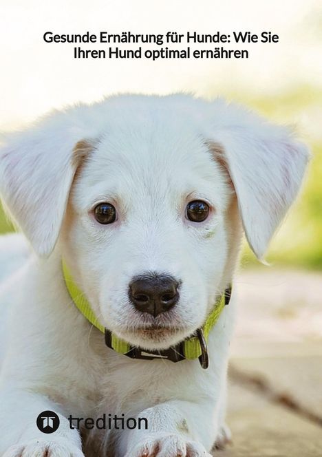 Moritz: Gesunde Ernährung für Hunde: Wie Sie Ihren Hund optimal ernähren, Buch