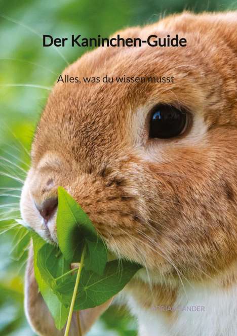 Adrian Sander: Der Kaninchen-Guide - Alles, was du wissen musst, Buch