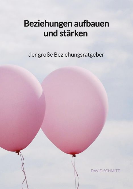 David Schmitt: Beziehungen aufbauen und stärken - der große Beziehungsratgeber, Buch