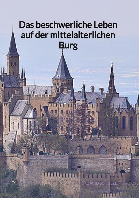 David Schulze: Das beschwerliche Leben auf der mittelalterlichen Burg, Buch