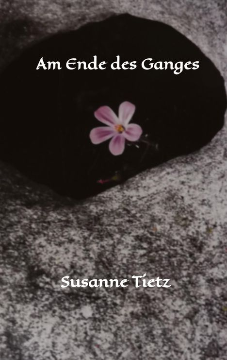 Susanne Tietz: Am Ende des Ganges, Buch